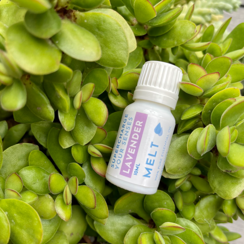 Lavender Essential Oil