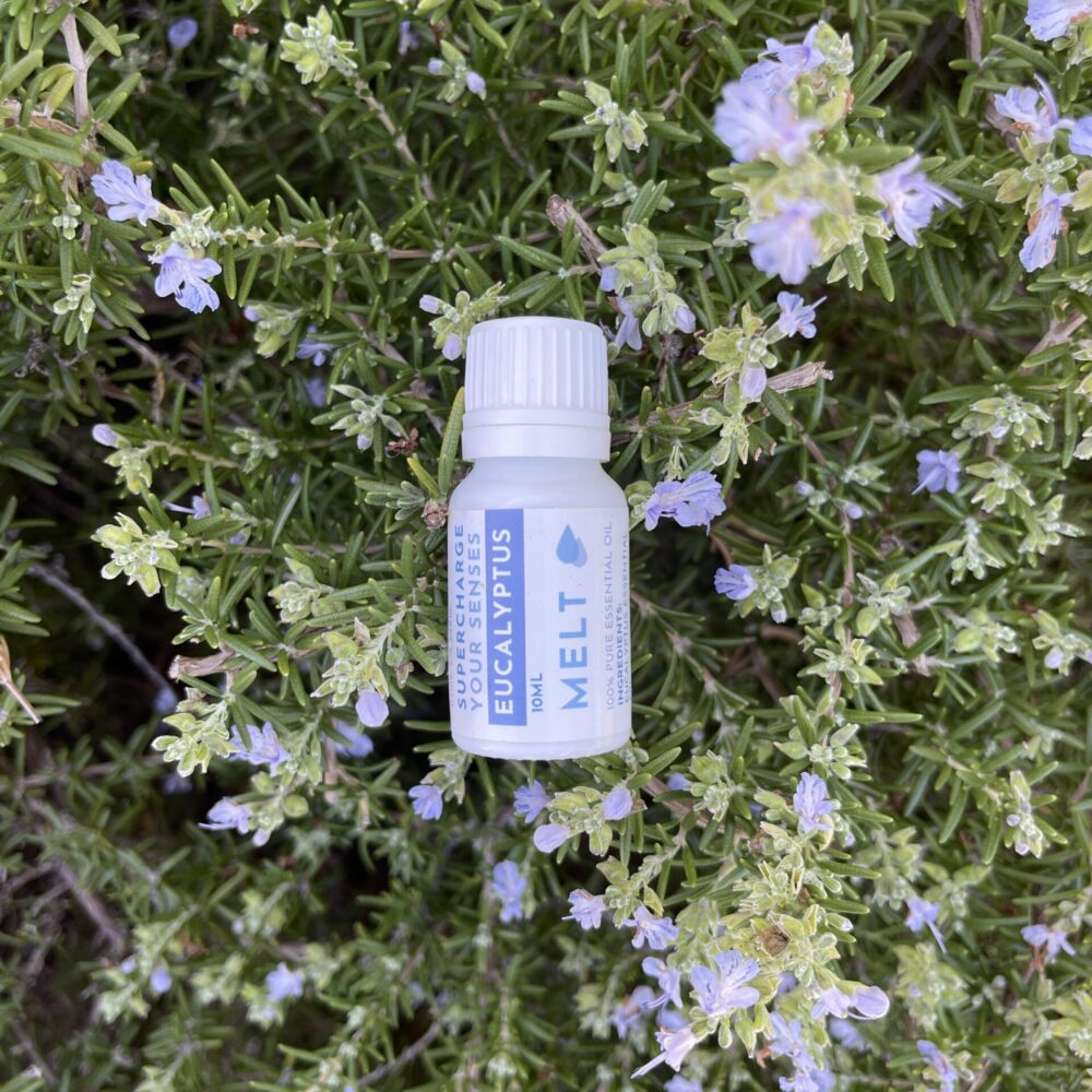 Eucalyptus Essential Oil