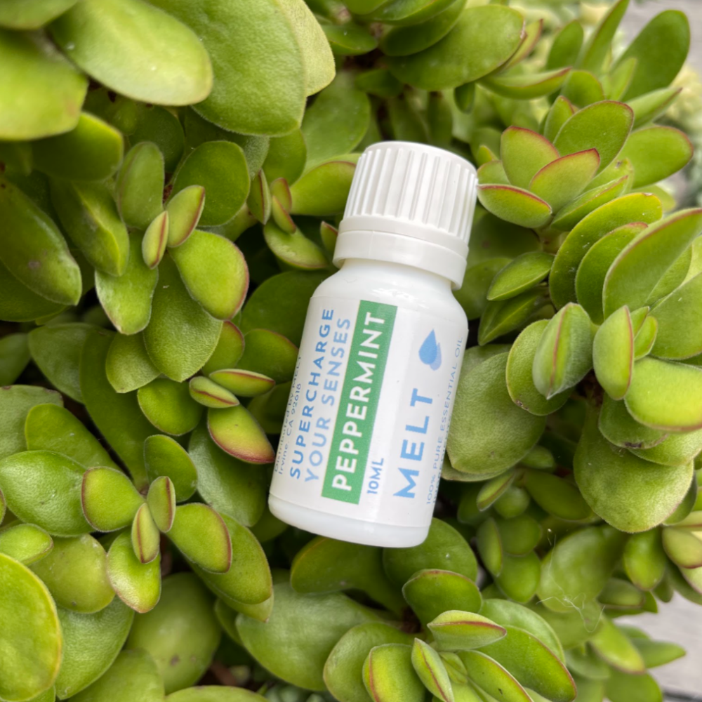 Peppermint Essential Oil